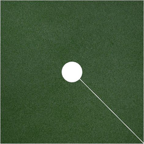 Protection Racines et Anti-Mauvaises Herbes - Feuille Agricole Perméable en Matériaux Nouveaux - 1.6×1.6m ou 1.2×1.2m - Vert - Fixation par Piquets Fournis (1/5)