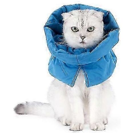 Collier de convalescence pour chat, cône souple et ajustable, collier étanche pour chats, chatons et chiots après une intervention chirurgicale, empêche le léchage - Excellente taille M