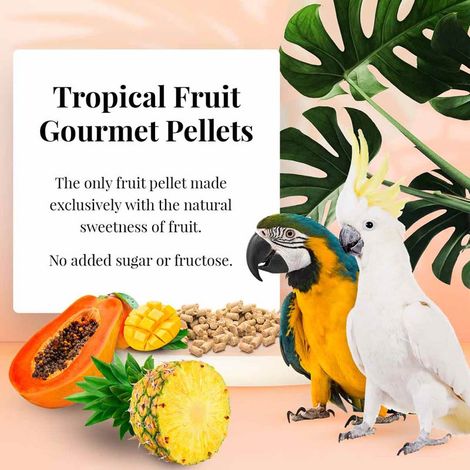 Lafeber Gourmet Pellets - Frutta Tropicale - Ara e Cacatua - Alimento bilanciato: granuli di frutta per AR e KAKADU 567 g (1/4)