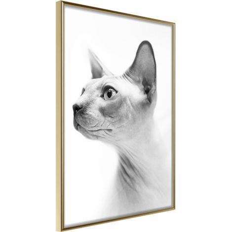 Affiche Murale Encadrée "Sphinx" 30 x 42 cm Or