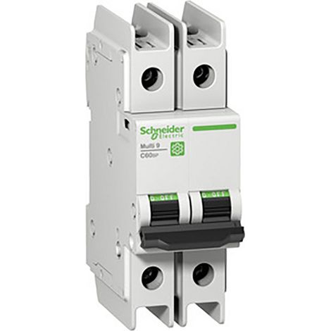 Leistungsschalter Schneider Electric c60bp 2A 2-polig