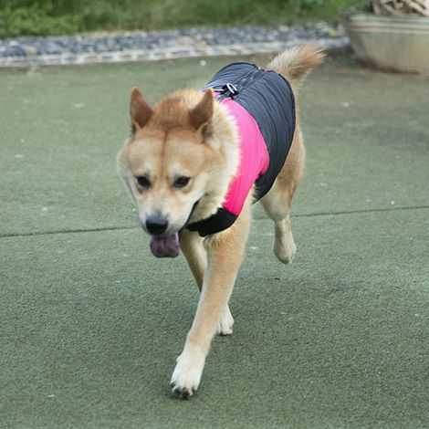 Veste sans manches imperméable en polyester rose pour animaux de compagnie, manteau chaud et épais pour grands chiens (2XL) (1/5)