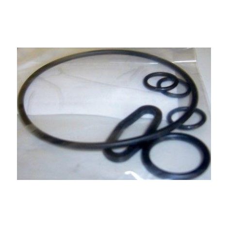 KIT ORING O-RING GUARNIZIONE POMPA IDROPULITRICI LAVORWASH ORIGINALI