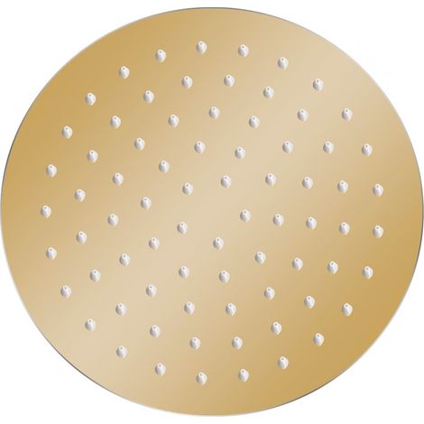 vidaXL Cabezal de ducha redondo efecto lluvia acero inox dorado 20 cm (1/2)