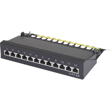 Boîtier de brassage 12 ports RJ45 CAT 6A – Montage mural – Acier blindé – Débit jusqu'à 10 Gbit/s – Pour câbles AWG 22-24 – Renkforce (1/4)