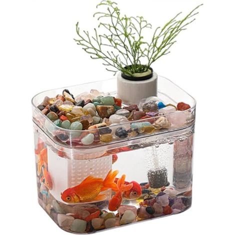 Aquarium Transparent avec Couvercle, Pompe à air USB, décoration de Bureau, Petit Aquarium pour Poissons Betta, crevettes, Poissons Rouges, A