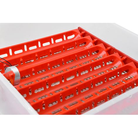 CESTELLO VENTILATO IBRIDO GIRAUOVA VASSOIO 42 POSTI VARIE SPECIE UOVA MOTORE 220V