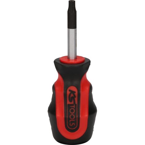 Giravite ERGOTORQUEplus p.viti Torx,T25, corto (1/3)