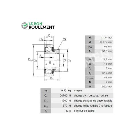 Roulement de palier GRA102-NPP-B-AS2-V-INA
