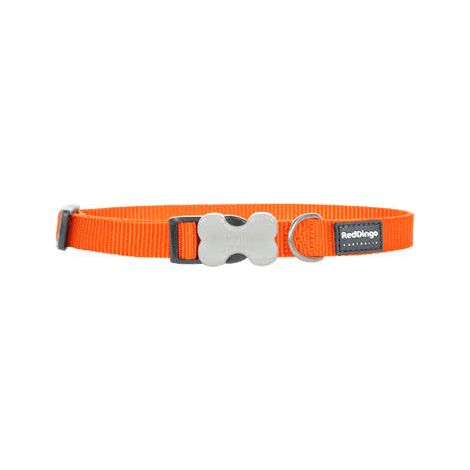 Collier chien réglable Red Dingo Basic orange Taille : T3