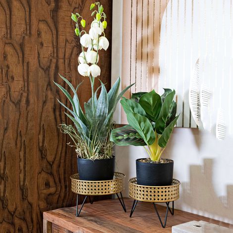 Vase BarHar