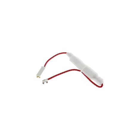 FUSIBLE H.T. MICRO-ONDES C00566594