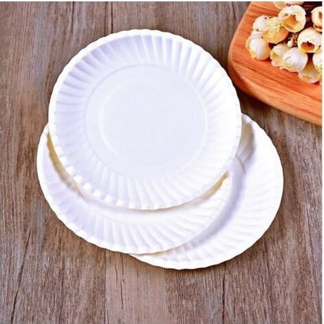 100 assiettes en papier jetables, aptes au contact alimentaire pour gâteaux et barbecues, à peindre pour anniversaires, pique-niques et activités de plein air, fabriquées à partir de fibres de canne à (1/5)