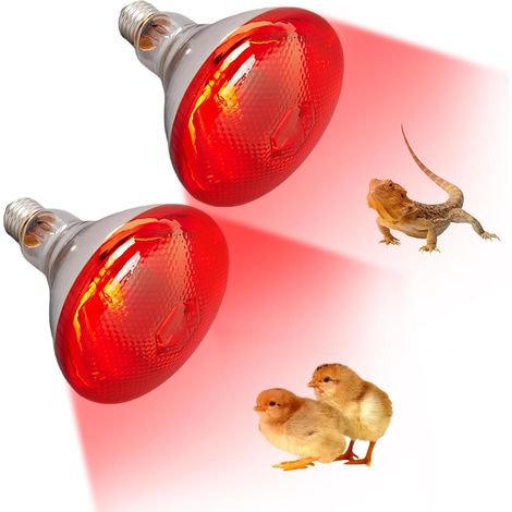 Lot de 2 lampes chauffantes infrarouges E27 : ampoule de 250 watts, lampe chauffante pour terrarium de reptiles, lampe à lumière rouge pour terrarium de reptiles, mammifères, poulailler (1/5)