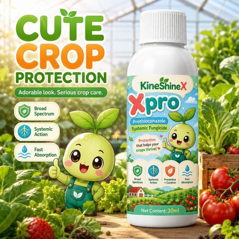KineShineX Horticultural Plant Fungal Protective Solution offers a systematic plant protection function that combines prevention and care with rapid action. (1/5)