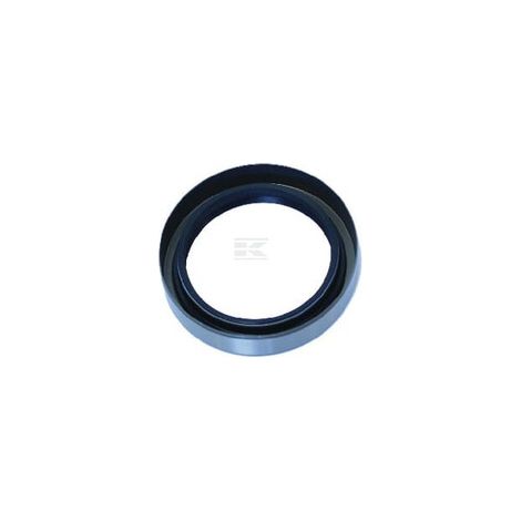 Gasket set UNBRANDED 42481597N