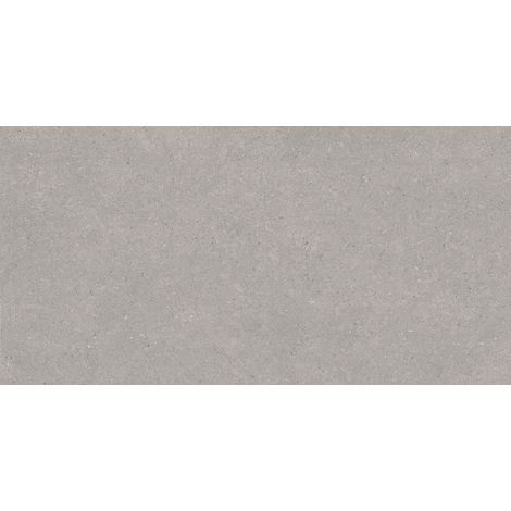 Mexen Monaco Grey carrelage céramique gris mat 120 x 60 cm, matt - TL313-120-060-02 (1/5)