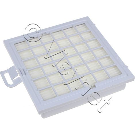 Filtre hygiénique hepa pour Aspirateur BOSCH 00578732 (1/3)