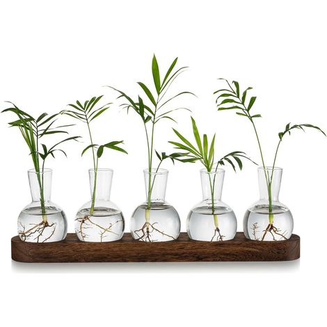 Station De Propagation De Plantes en Terrarium, Vase à Bulbes en Verre avec Plateau en Bois, Vases à Bourgeons Modernes pour Le Salon Et Le Bureau, Vase à Fleurs De Bureau (1/5)