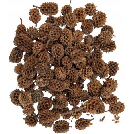 Mini coni decorativi naturali 30 g (1/2)