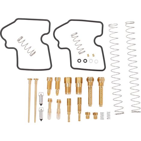 Kit de réparation de carburateur de moto, 30 pièces, remplacement pour Kawasaki Brute Force 750i 4X4 2005 – 2007 (1/5)