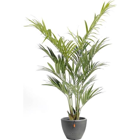Palmier Kentia artificiel en pot superbe de réalisme H 180 cm Vert - dimhaut: H 180 cm - couleur: Vert