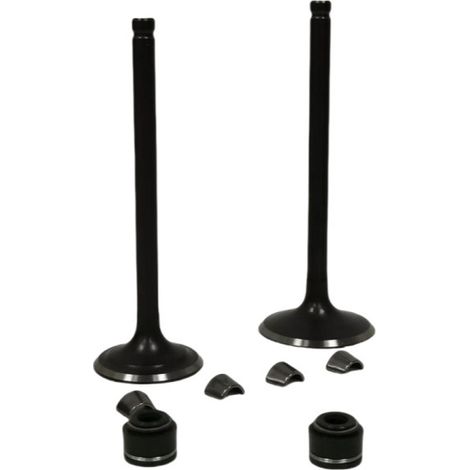 Motorcycle engine valves, compatible with RATO VORTX250 CPS250 RBT250 RW172FMM oil seals