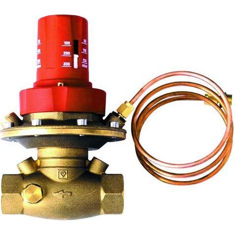 Differenzdruckregler DN40 6/4" fix voreingestellt Fig. 4007(55) Messing