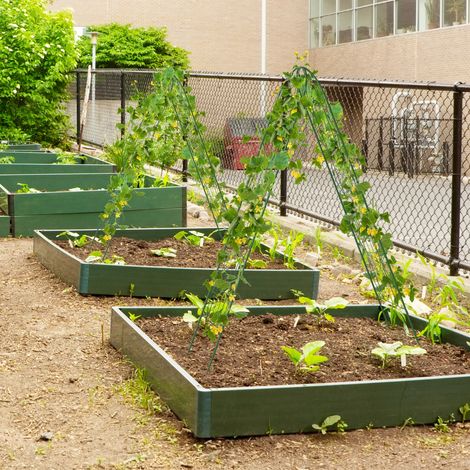 Lot de 2 Treillis de Jardin en Métal 220x50cm Support de Plantes Antirouille pour Plantes Grimpantes Roses Légumes Treillis Extérieur Vert (1/3)