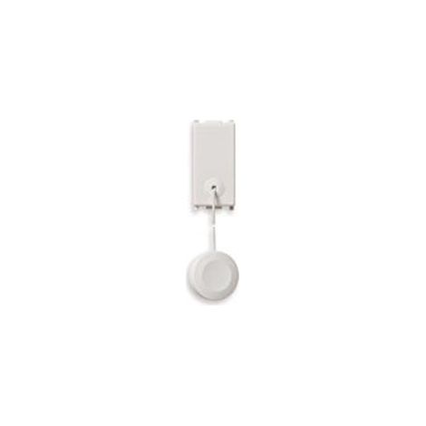 14053 Bouton 1P Nc 10A Tige Blanche Plane