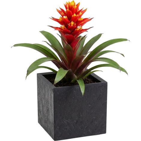 Vaso da fiori Betonique su ruote, cemento nero, 30x30xh30 cm (1/5)