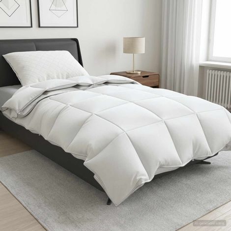 Set di piumoni in piume d’oca al 90% FULDA 2 pcs 135 x 200 cm vidaXL (1/5)