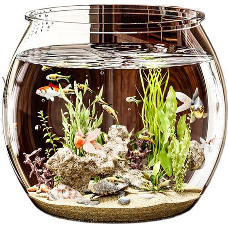 Aquarium Ronde En Plastique PET - Haute Transparence Sans Joint - Pour Poissons Ornementaux Ou Terrarium - 15 L - Idéal Bureau Intérieur (1/5)