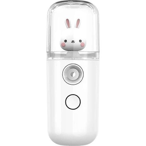 Mini brumisateur/humidificateur à vapeur de 30 ml, rechargeable par USB (1/4)