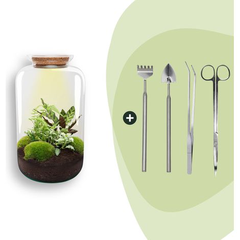 Terrarium pour Plantes DIY avec Lumière Écosystème Autonome Sven XL Ø 23 x 43 cm - PANGIVO (1/2)