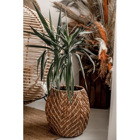 Maceta Rumba CON un estampado (1/5)