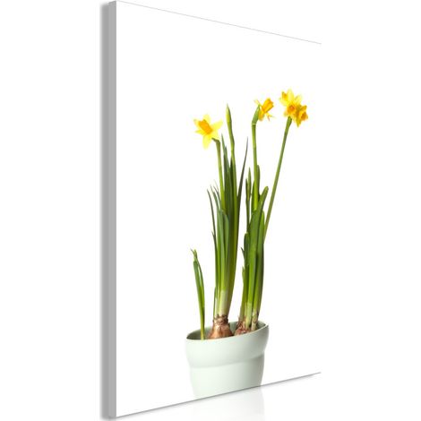 Tableau Imprimé "Narcissus" 60 x 90 cm (1/2)