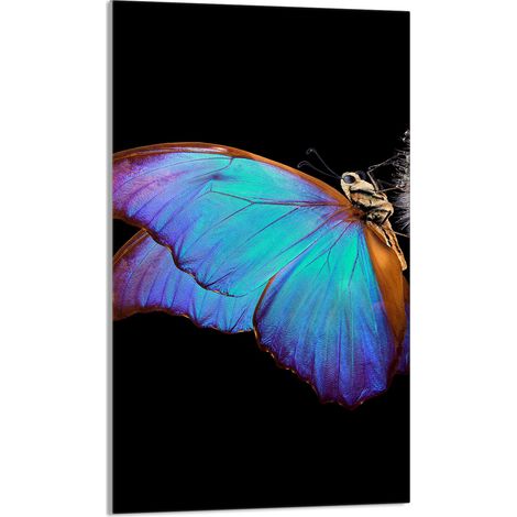 TABLA DE CORTAR DE VIDRIO 30x52 Mariposa (1/5)
