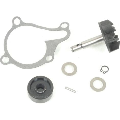 magneti marelli wasserpumpe für motorrad yamaha 250 wr r 2009 bis (1/2)