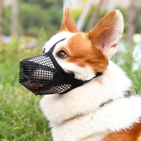 Maschera per cani grande (50-75 kg) nera, anti-spruzzo, comoda e respirabile, tessuto a maglia universale (1/3)