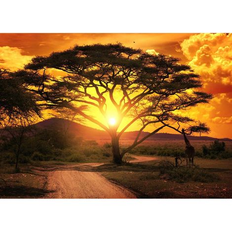 Tableau sur toile savane au coucher du soleil 30x45 cm - Impression sur Toile Murale Décorative - Image imprimée en HD sur Toile - Toile sur Châssis en Bois FSC - Fabriqué en France (1/5)