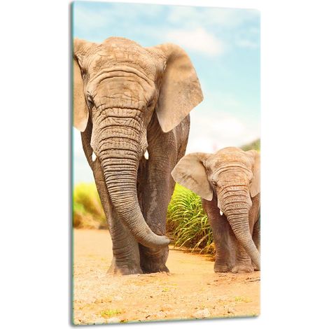 TABLERO DE MESA DE PANEL DE PLACA DE CRISTAL 30x52 ELEPHANT (1/5)