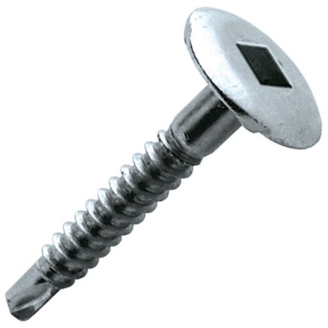 Caja de 250 tornillos autoperforantes SCELL-IT de cabeza redonda galvanizada - SQ2 - 4,8 x 25 mm - TRLQ48025 (1/2)