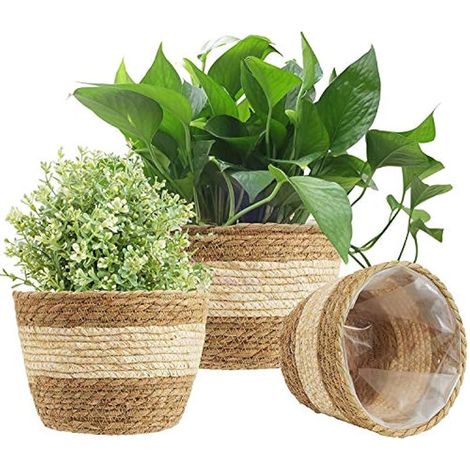 3 paniers en jonc de mer, 3 tailles de pots tressés pour plantes intérieur/extérieur - Cache-pots, paniers de rangement, contenants pour décoration maison (Beige)