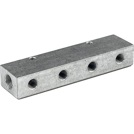 Riegler Verteilerleiste, Abgänge einseitig, Eingang 2x3/8, Ausgang 4x1/8 (1/4)
