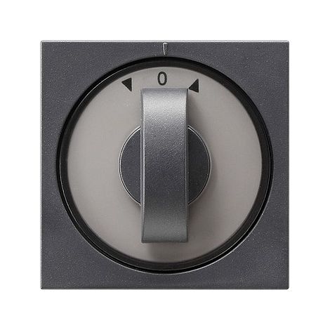 GIRA 066628 PLAQUE DE COMMUTATION ET OBTURATEUR