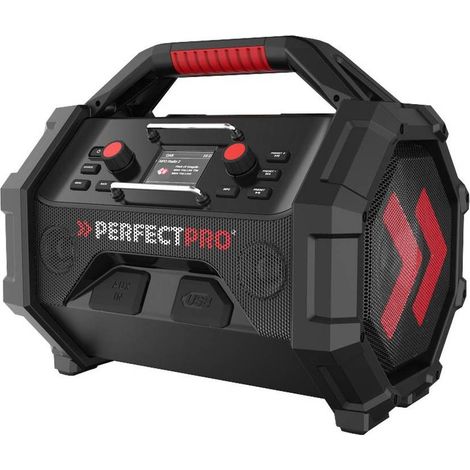 Radio de Chantier ROCKTAGON 18 V - 5.1 kg - D-Work (1/5)