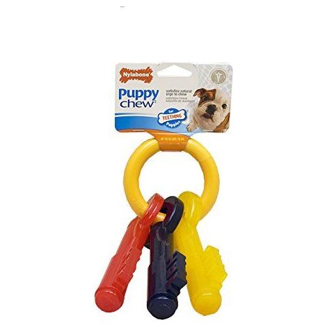 Nylabone - Set of 3 porte-clés pour chiot, chien, chiot, jouets de dentition, à mâcher, taille moyenne (1/5)