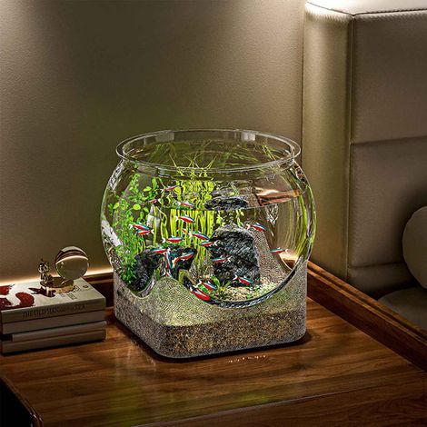 Aquarium - Plastique Transparent - 19 x 19 x 16,6 cm - Résistant aux Chocs et à l'Usure - Pour Bureau ou Espace Restreint - 1 Pièce (1/5)