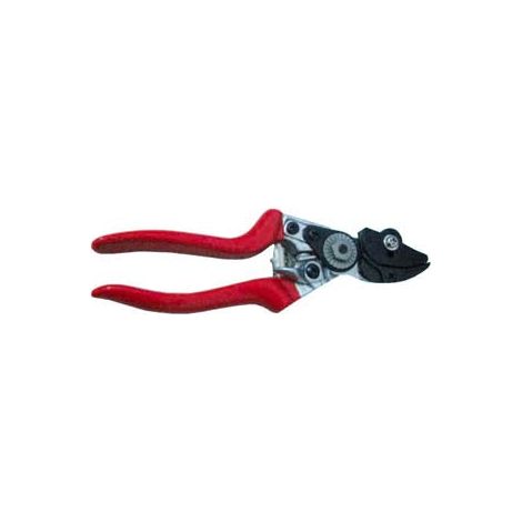 Forbice pota a battuta lame in acciaio inox 20 cm dispositivo anticaduta utilizzo per pomodori uva agrumi ed altra frutta